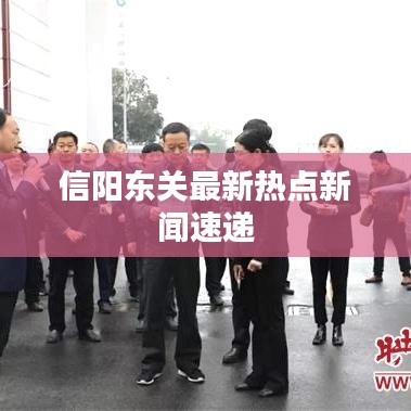 信阳东关最新热点新闻速递