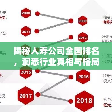 揭秘人寿公司全国排名，洞悉行业真相与格局！