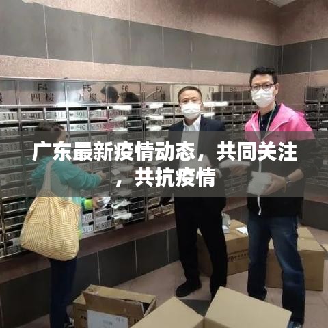 广东最新疫情动态，共同关注，共抗疫情