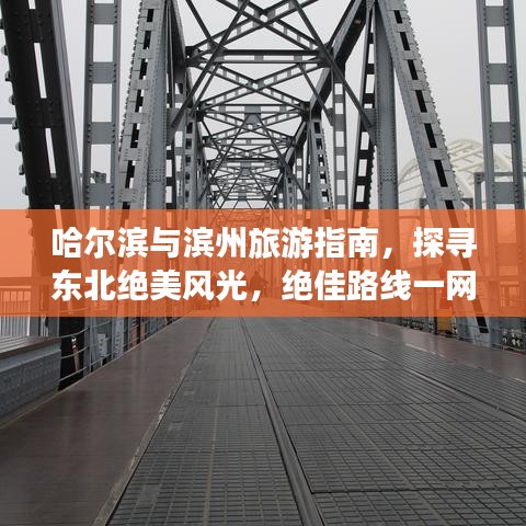 哈尔滨与滨州旅游指南，探寻东北绝美风光，绝佳路线一网打尽