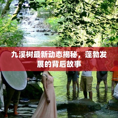 九溪树最新动态揭秘，蓬勃发展的背后故事