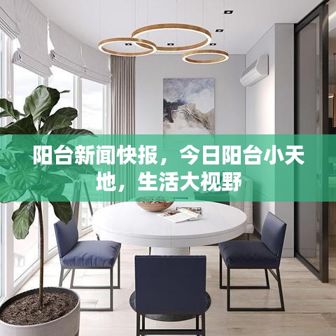 阳台新闻快报，今日阳台小天地，生活大视野