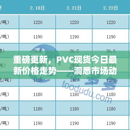 重磅更新，PVC现货今日最新价格走势——洞悉市场动态，抓住投资先机