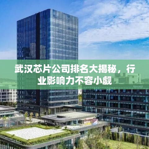 武汉芯片公司排名大揭秘，行业影响力不容小觑
