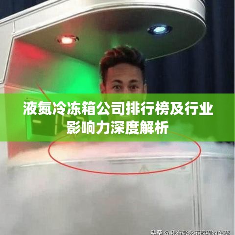 液氮冷冻箱公司排行榜及行业影响力深度解析