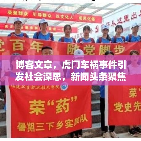 博客文章，虎门车祸事件引发社会深思，新闻头条聚焦事件反思