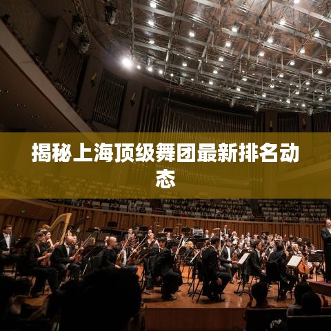揭秘上海顶级舞团最新排名动态