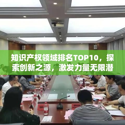 知识产权领域排名TOP10，探索创新之源，激发力量无限潜能