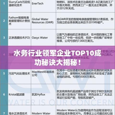 水务行业领军企业TOP10成功秘诀大揭秘！