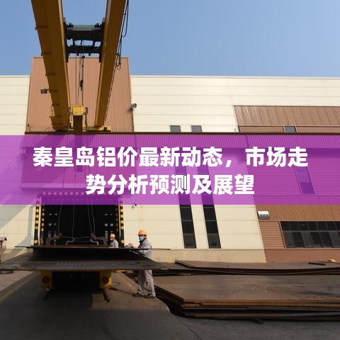 秦皇岛铝价最新动态，市场走势分析预测及展望