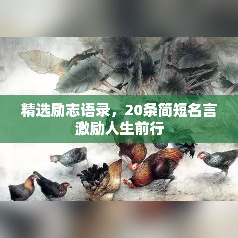 2025年6月6日 第21页