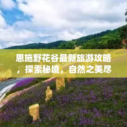 恩施野花谷最新旅游攻略，探索秘境，自然之美尽收眼底