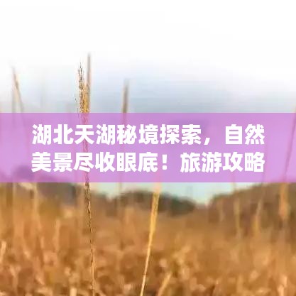 湖北天湖秘境探索，自然美景尽收眼底！旅游攻略大揭秘！