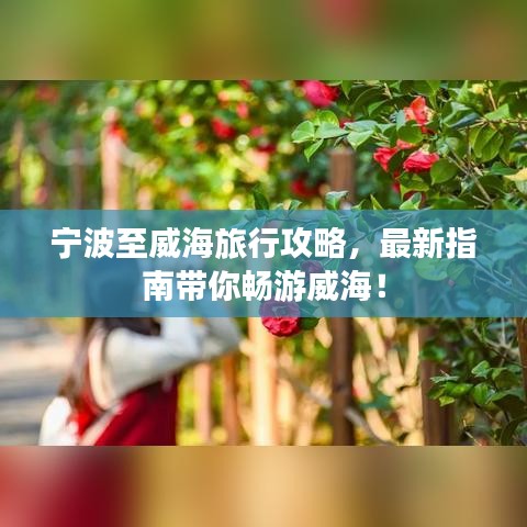 宁波至威海旅行攻略，最新指南带你畅游威海！