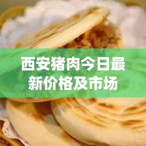 西安猪肉今日最新价格及市场走势、影响因素深度解析