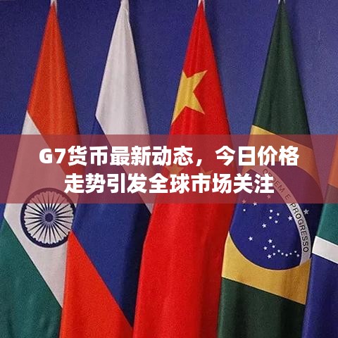 G7货币最新动态，今日价格走势引发全球市场关注