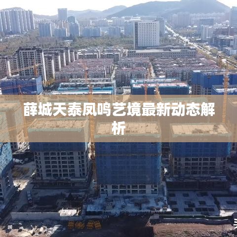 薛城天泰凤鸣艺境最新动态解析