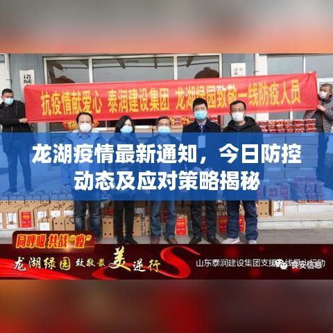 龙湖疫情最新通知，今日防控动态及应对策略揭秘