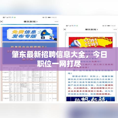 肇东最新招聘信息大全，今日职位一网打尽