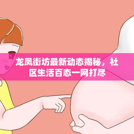 龙凤街坊最新动态揭秘，社区生活百态一网打尽