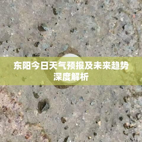 2025年6月8日 第5页