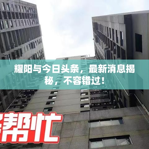 耀阳与今日头条，最新消息揭秘，不容错过！