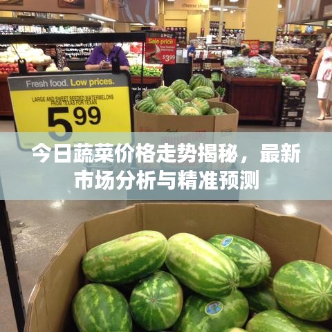 今日蔬菜价格走势揭秘，最新市场分析与精准预测