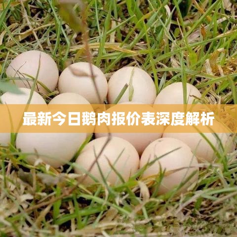 最新今日鹅肉报价表深度解析