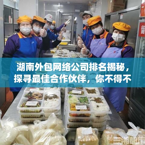 湖南外包网络公司排名揭秘，探寻最佳合作伙伴，你不得不看！