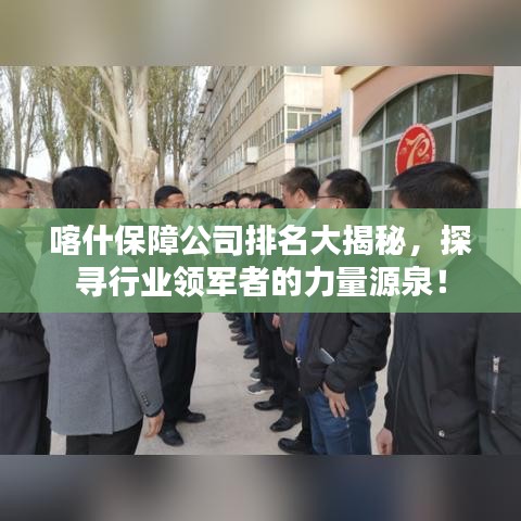 喀什保障公司排名大揭秘，探寻行业领军者的力量源泉！