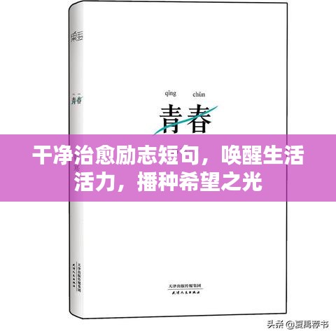 干净治愈励志短句，唤醒生活活力，播种希望之光