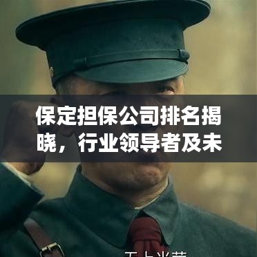 保定担保公司排名揭晓，行业领导者及未来发展趋势展望