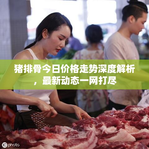 猪排骨今日价格走势深度解析，最新动态一网打尽