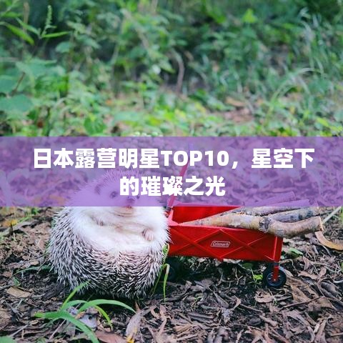 日本露营明星TOP10，星空下的璀璨之光