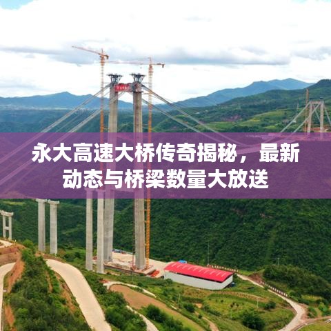 永大高速大桥传奇揭秘，最新动态与桥梁数量大放送