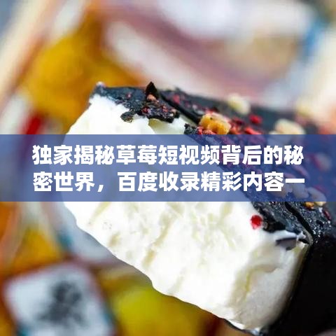 独家揭秘草莓短视频背后的秘密世界，百度收录精彩内容一网打尽