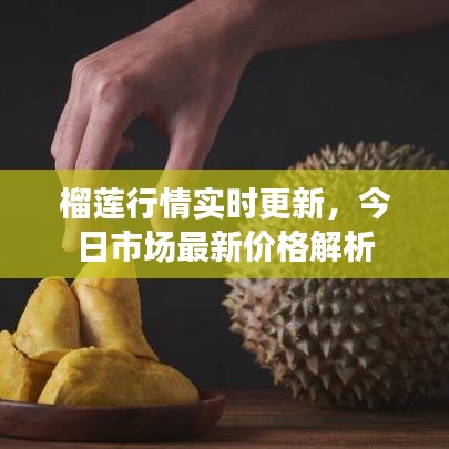 榴莲行情实时更新，今日市场最新价格解析
