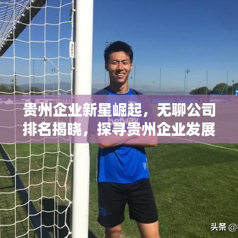 贵州企业新星崛起，无聊公司排名揭晓，探寻贵州企业发展的潜力与机遇