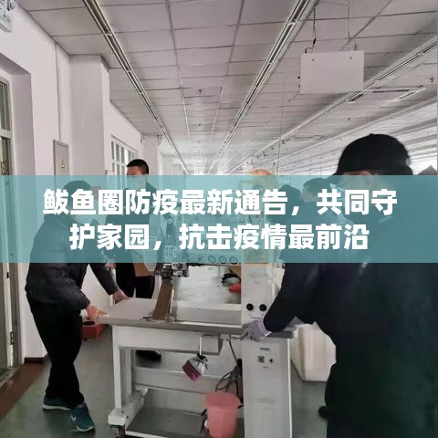 鲅鱼圈防疫最新通告，共同守护家园，抗击疫情最前沿
