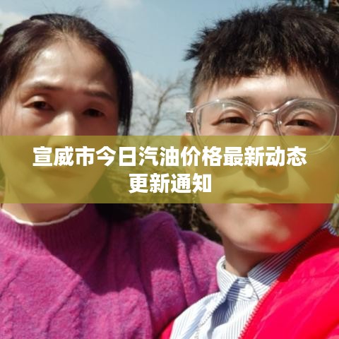 宣威市今日汽油价格最新动态更新通知