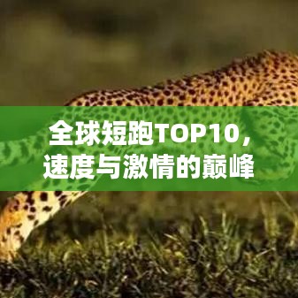 全球短跑TOP10，速度与激情的巅峰对决