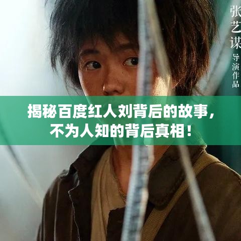 揭秘百度红人刘背后的故事，不为人知的背后真相！