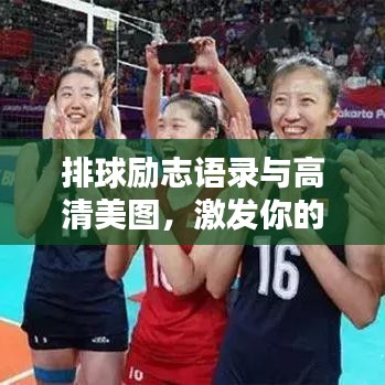 排球励志语录与高清美图，激发你的斗志，温暖你的心灵