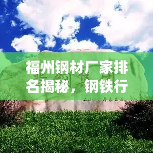 福州钢材厂家排名揭秘，钢铁行业佼佼者TOP10解读