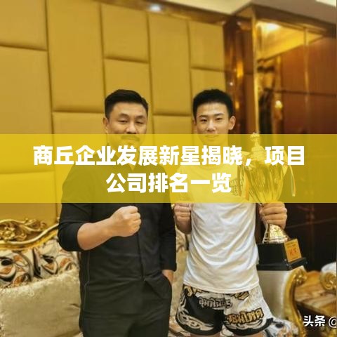 商丘企业发展新星揭晓，项目公司排名一览