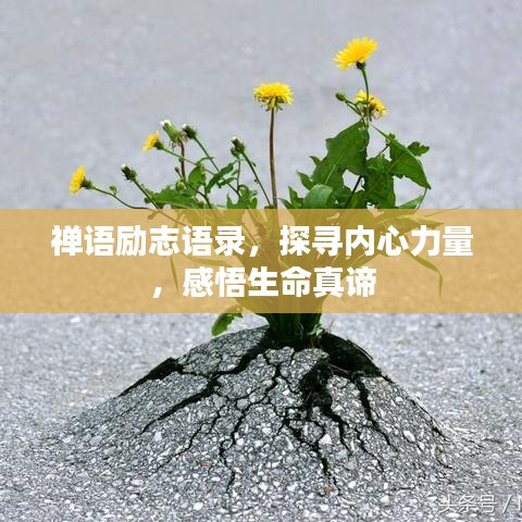 禅语励志语录，探寻内心力量，感悟生命真谛