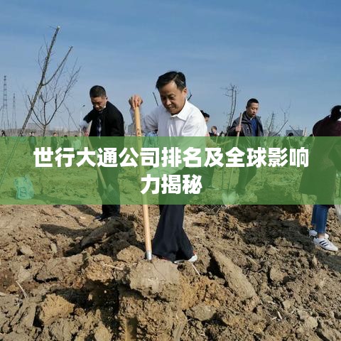 世行大通公司排名及全球影响力揭秘