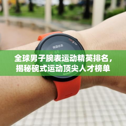全球男子腕表运动精英排名，揭秘碗式运动顶尖人才榜单
