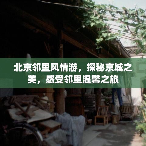 北京邻里风情游，探秘京城之美，感受邻里温馨之旅
