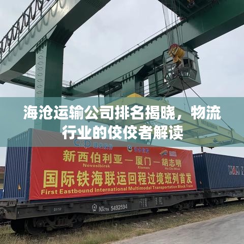 海沧运输公司排名揭晓，物流行业的佼佼者解读